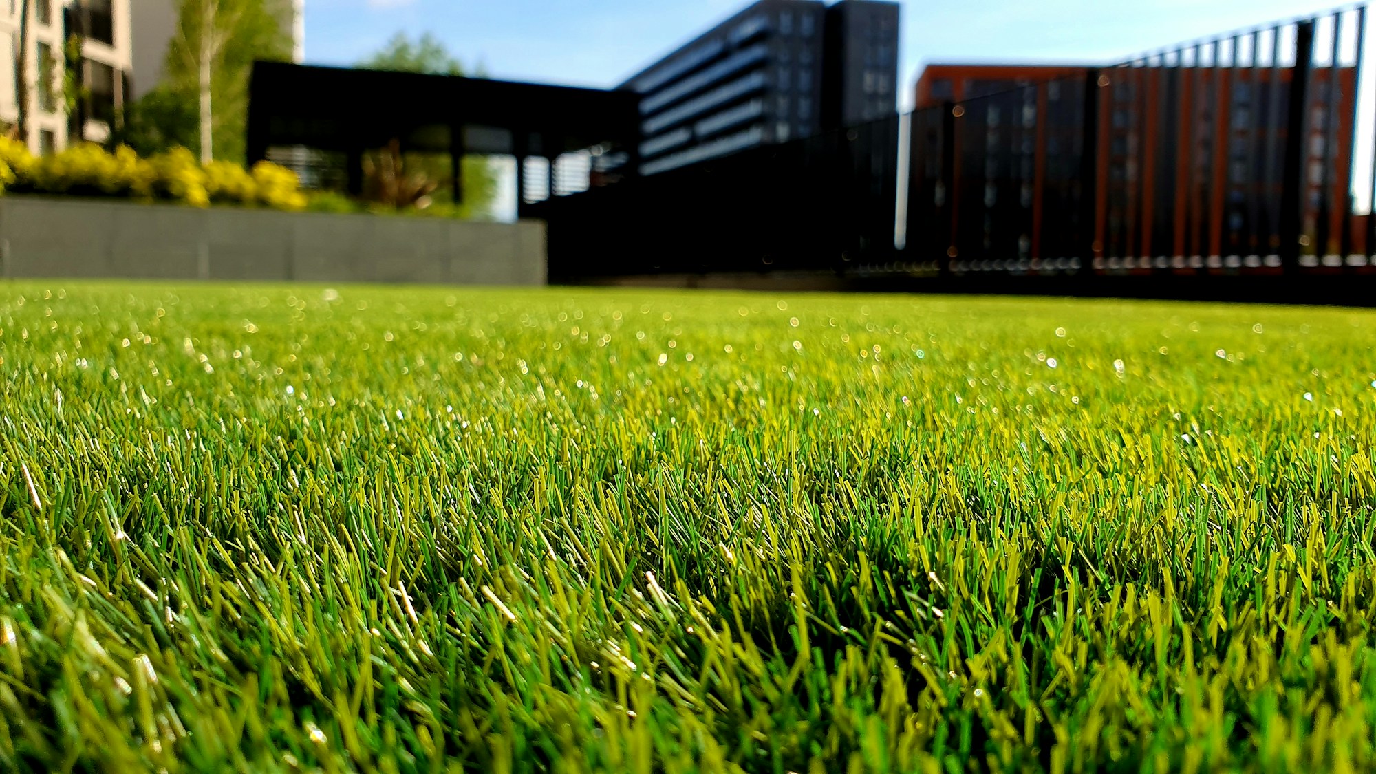 A freshly mown green lawn